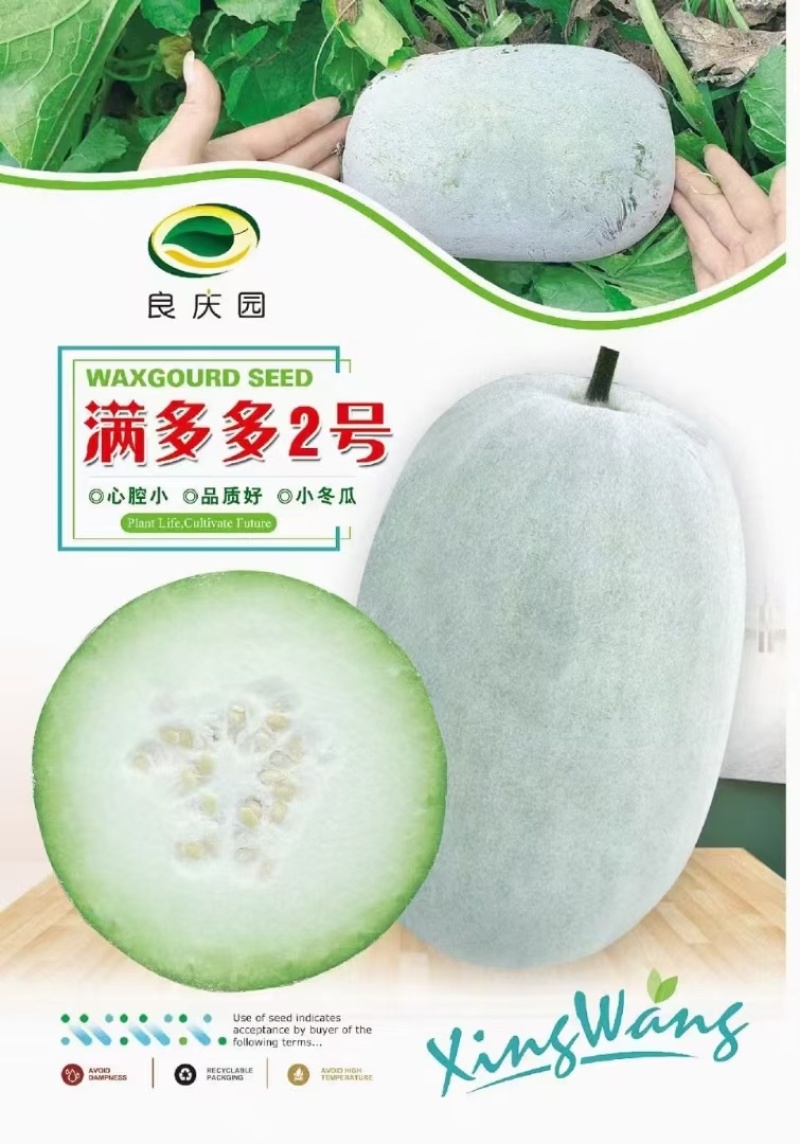 冬瓜种子满多多二号厚肉型小冬瓜