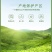 正宗信阳毛尖茶叶雨前毛尖自家高山云雾茶发假一赔十