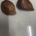 进口红皮蛇果一件代发