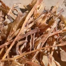 牛筋，干牛蹄筋，自然晒干，无硫