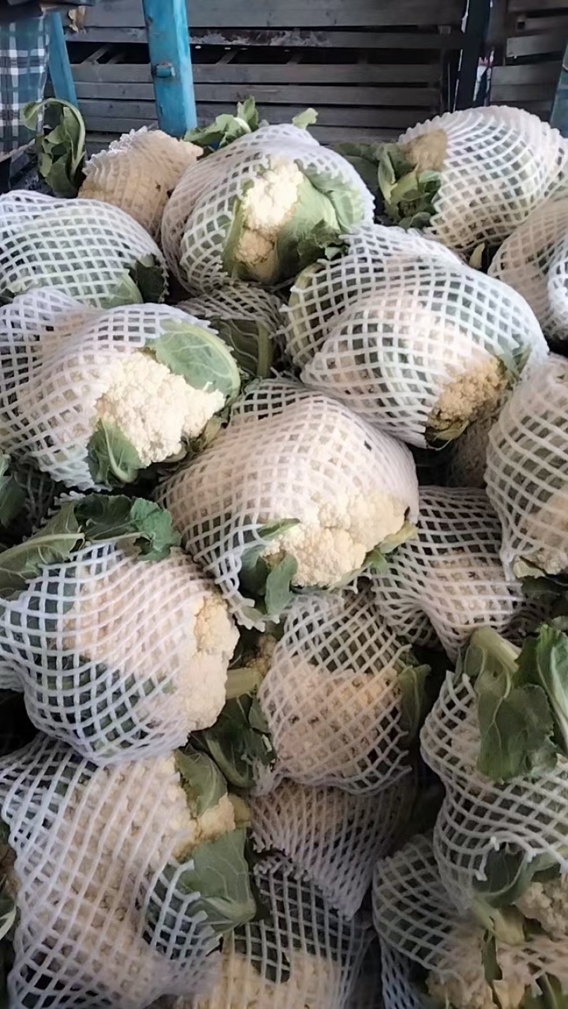 邯郸有机花菜质优价廉，供超市电商全国发货