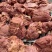 【卤味】熟驴肉