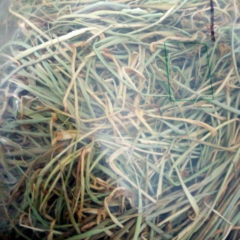 中药材竹叶卷心正品竹叶心卷芯竹卷心