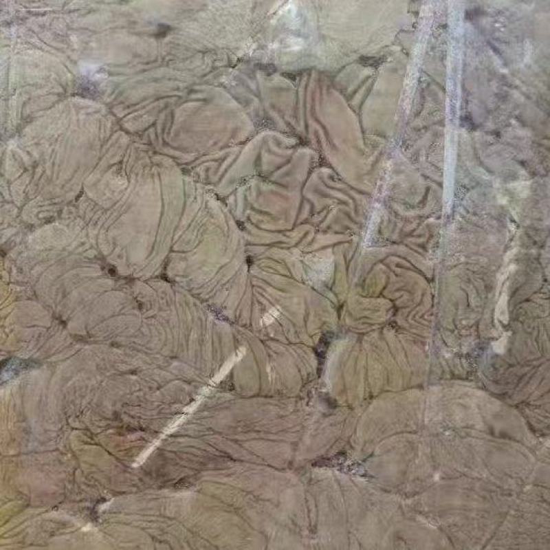 马板肠