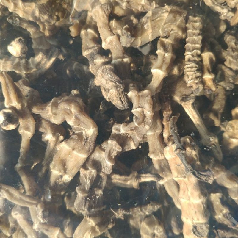 云南竹节参1公斤干货地虫草泽兰根新货地龙菜