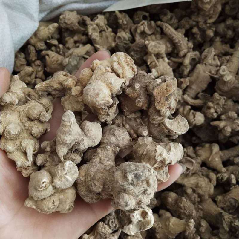 竹节参中药材竹节三七竹节人参白三七竹节根