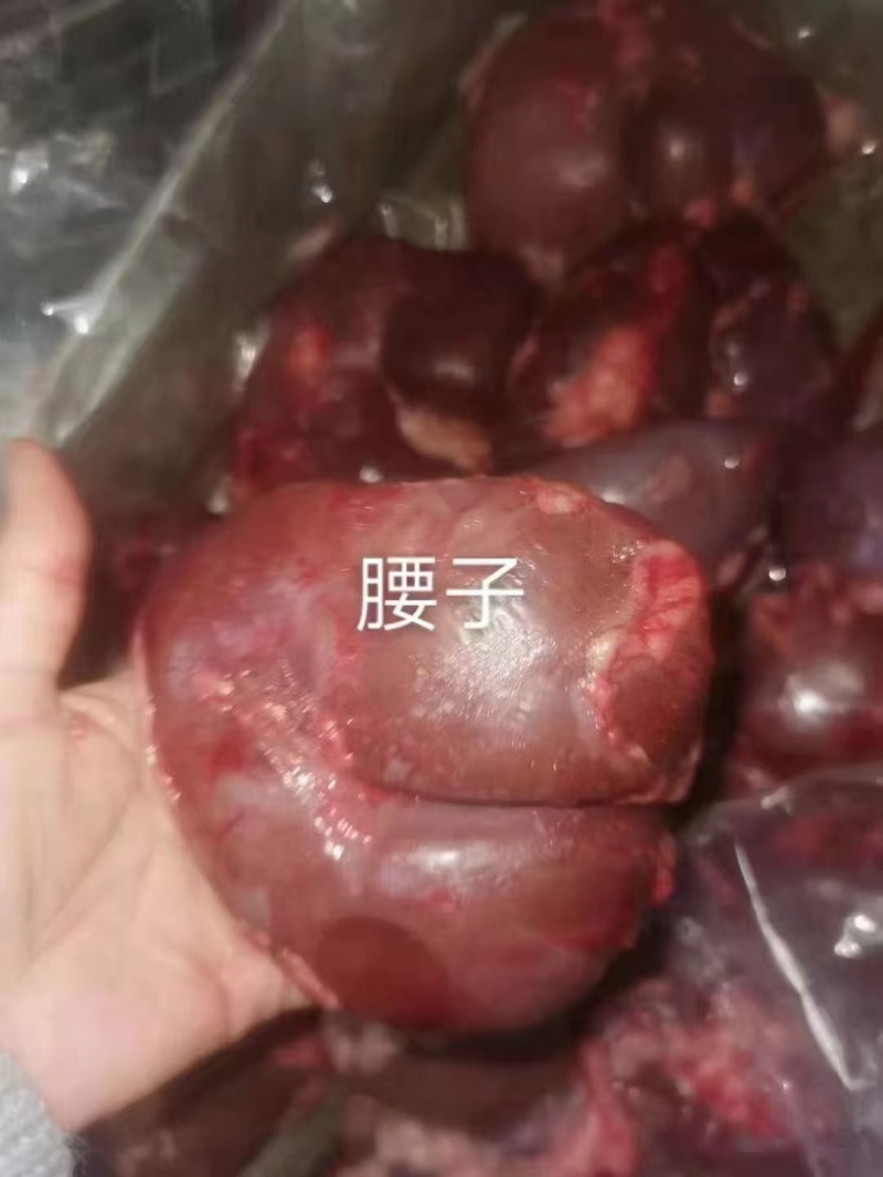 马腰子