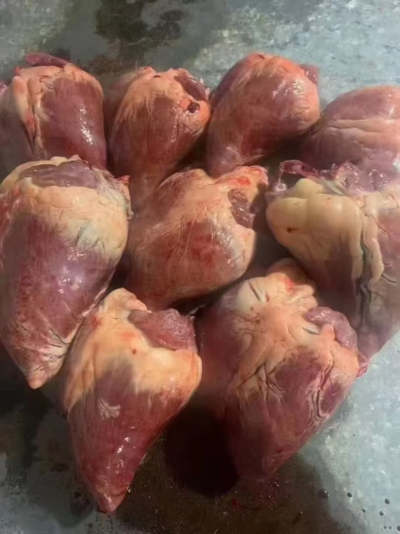 马心
