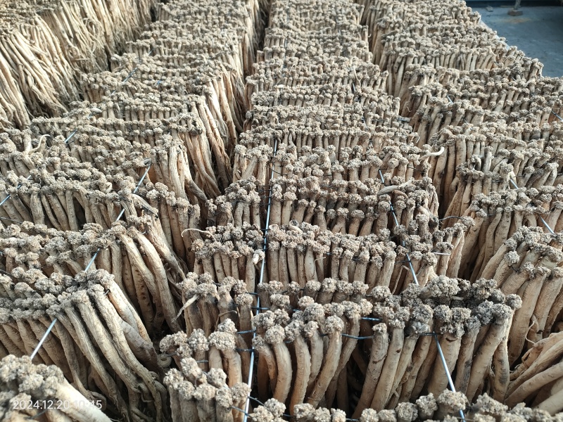 甘肃原产地直销精品无硫，品质保证