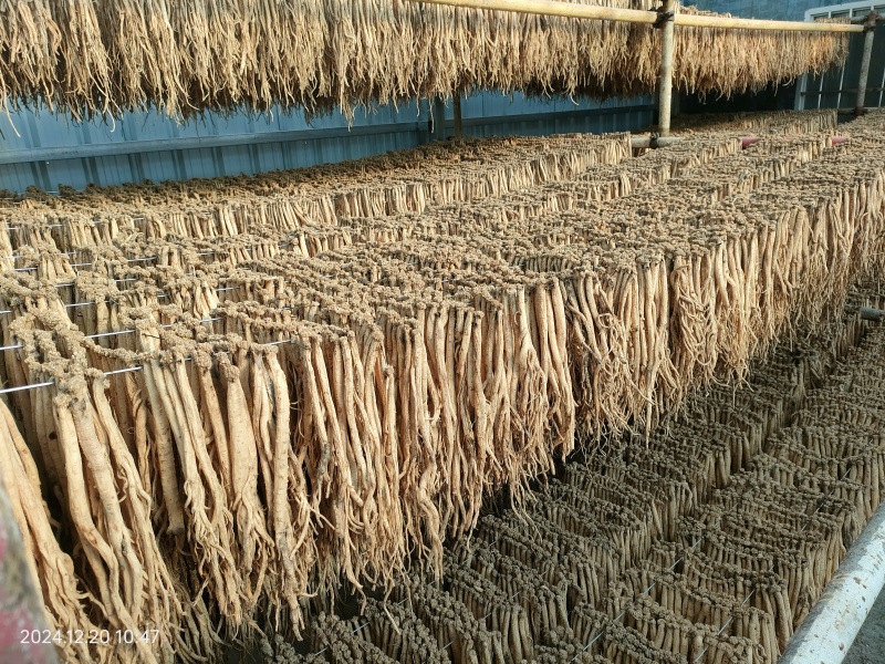 甘肃原产地直销精品无硫，品质保证
