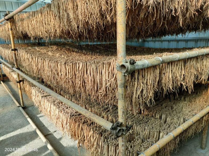 甘肃原产地直销精品无硫，品质保证