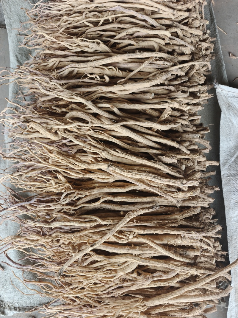 去头防风，精品货，白净，黄土地种植