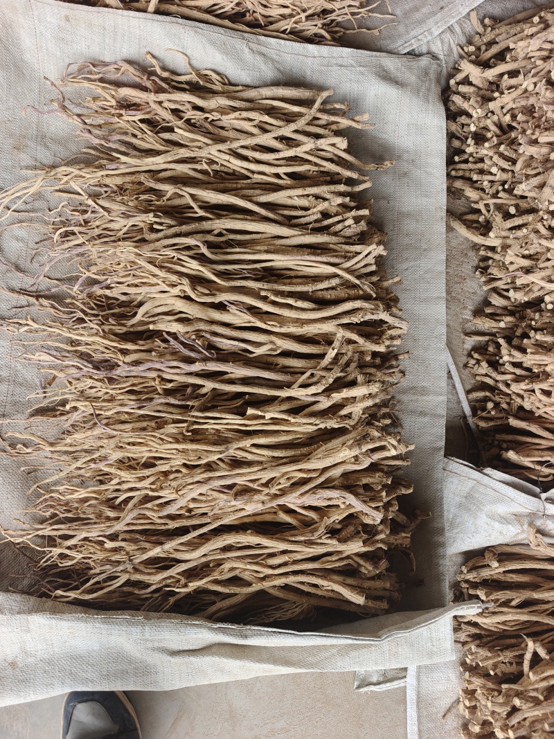 去头防风，精品货，白净，黄土地种植