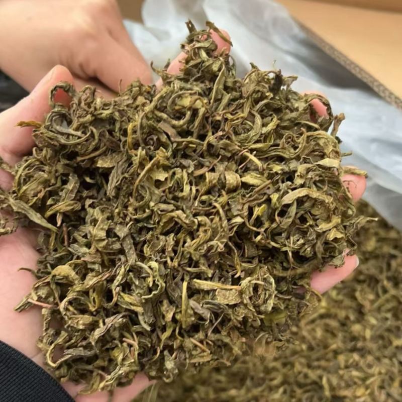 黄金芽