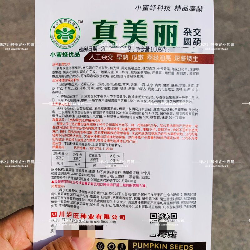 泸旺圆形西葫芦种子真美丽圆瓜种子翠绿油亮小瓜种籽瓜嫩早熟