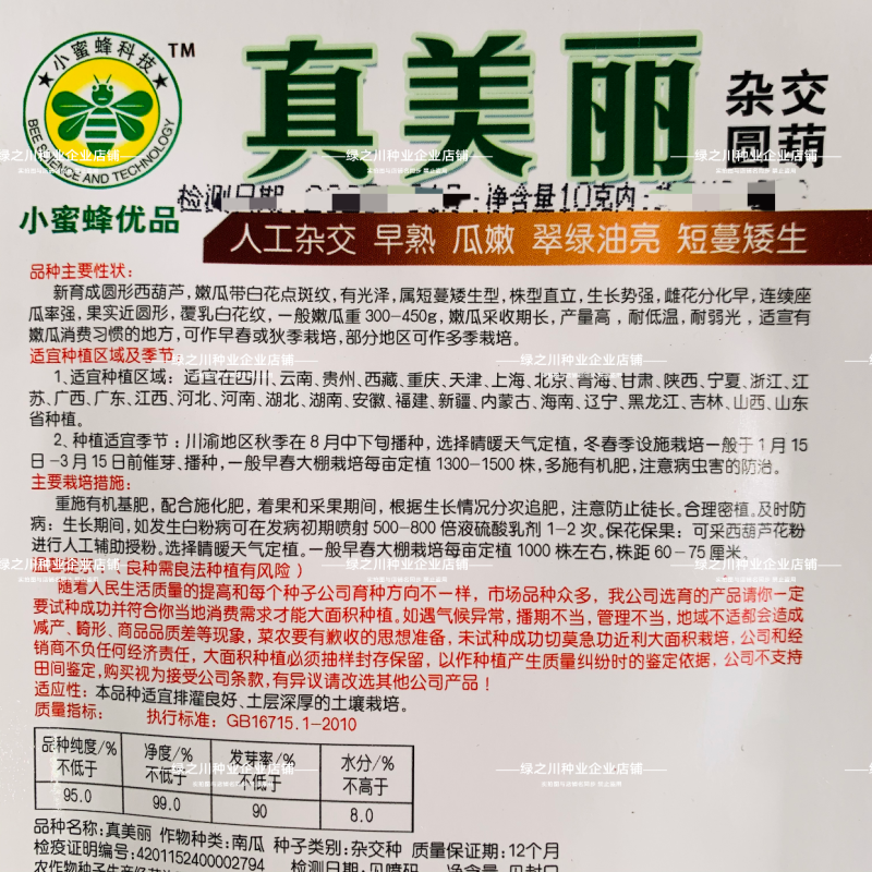 泸旺圆形西葫芦种子真美丽圆瓜种子翠绿油亮小瓜种籽瓜嫩早熟