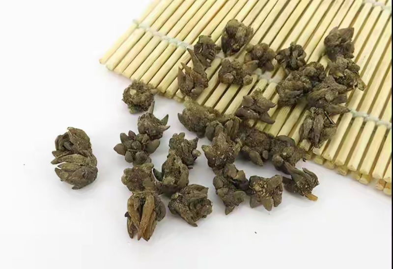 猫爪草
