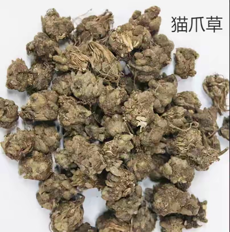 猫爪草