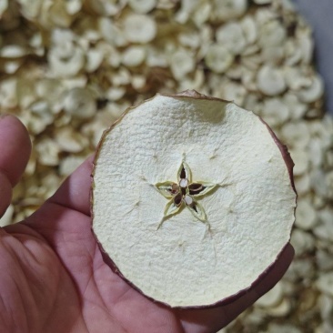 过检苹果片