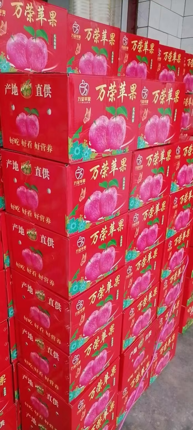 山西万荣县产地纸加膜红富士苹果，全国供货。
