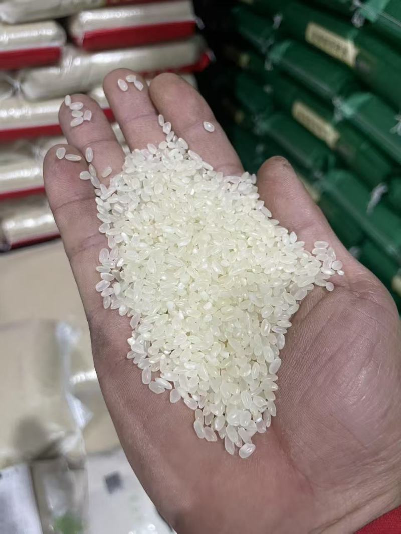 东北珍珠+珍珠米+东北珍珠米+粥米+稀饭米+东北地标大米