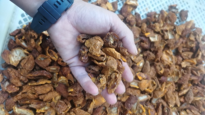 长期生产批发枇杷干，0添加无糖原味健康食品，确保一手货源