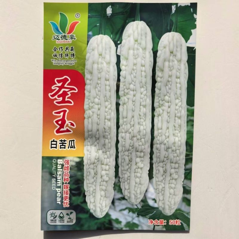 圣玉早熟杂交强雌大白苦瓜种子果实长棒形皮色亮白有光泽