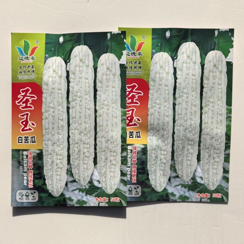 圣玉早熟杂交强雌大白苦瓜种子果实长棒形皮色亮白有光泽