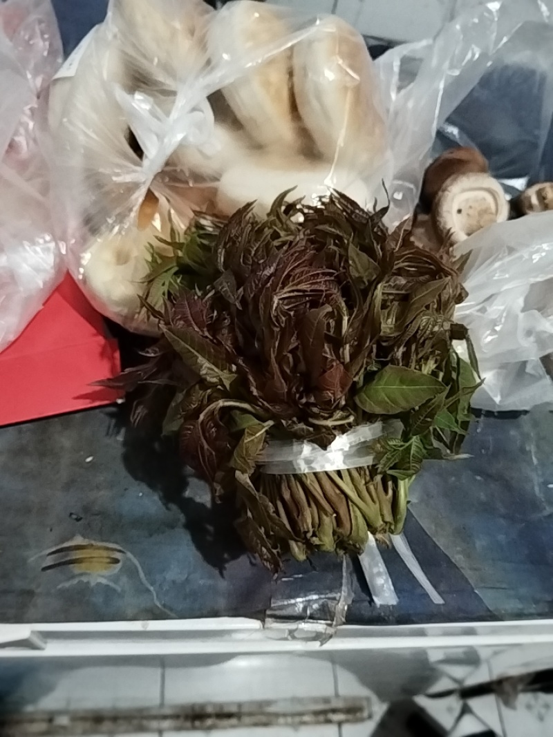 头茬香椿芽