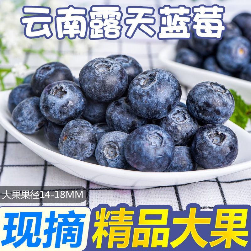 云南蓝莓一件代发对接抖音快手视频号直播带货拼多多淘宝等各