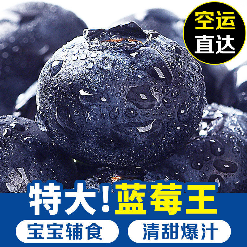 云南蓝莓一件代发对接抖音快手视频号直播带货拼多多淘宝等各