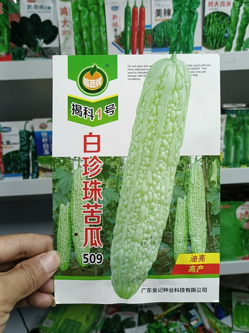 白珍珠苦瓜种子疙瘩白苦瓜种子瓜形修长采收期长产量高春播菜
