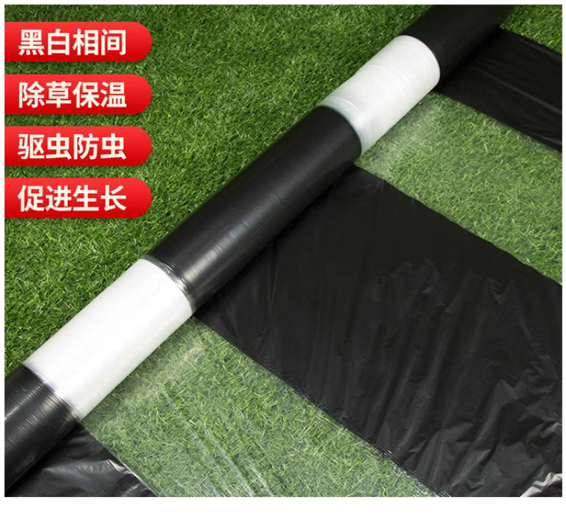 黑白地膜地膜单白双白地膜保温湿除草种植蔬菜庄稼