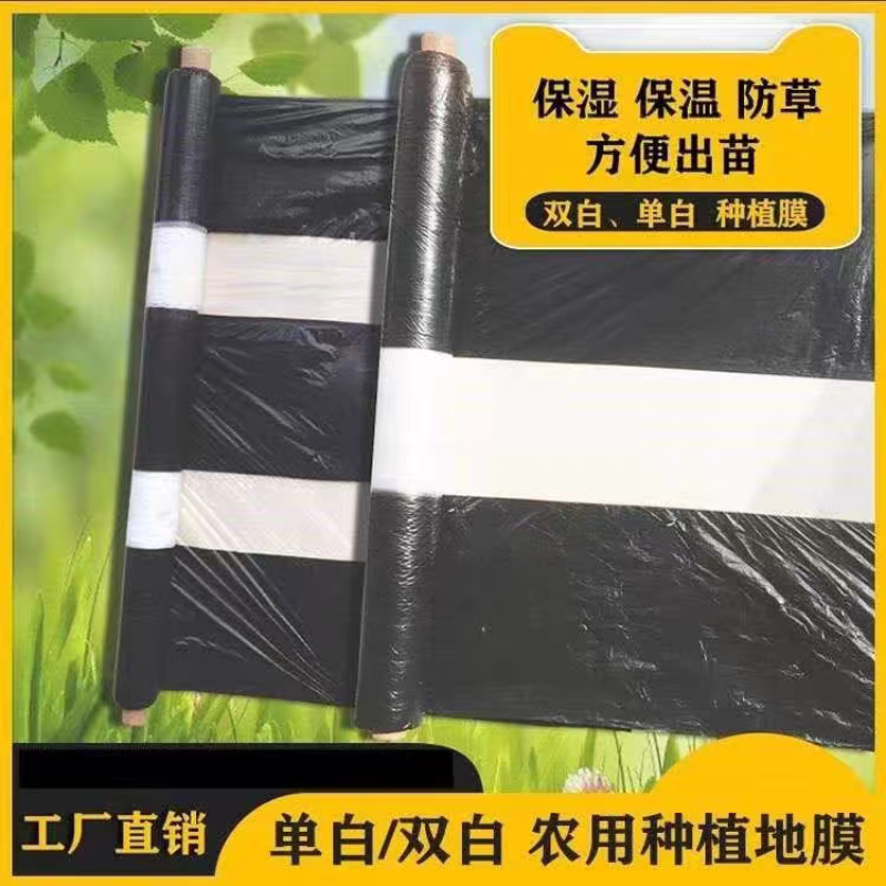 黑白地膜地膜单白双白地膜保温湿除草种植蔬菜庄稼