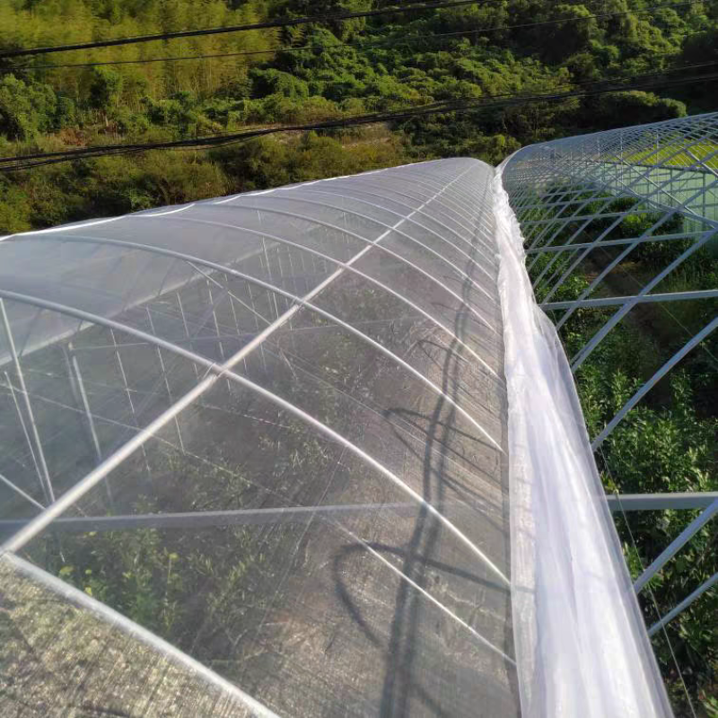 防虫网40目60目80目100目全新材料蔬菜大棚防虫网