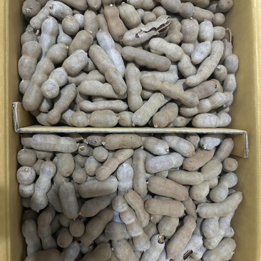 酸甜角商超品质电商价格，自提物流代发都可以