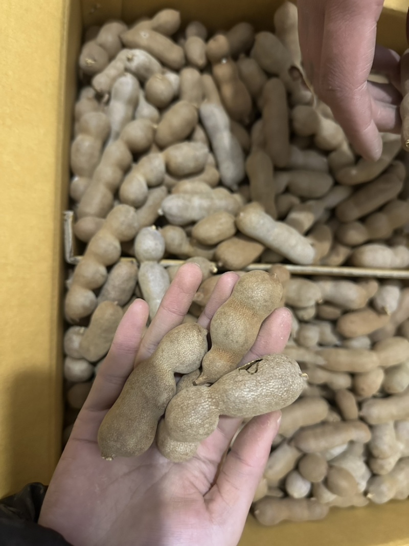 酸甜角商超品质电商价格，自提物流代发都可以