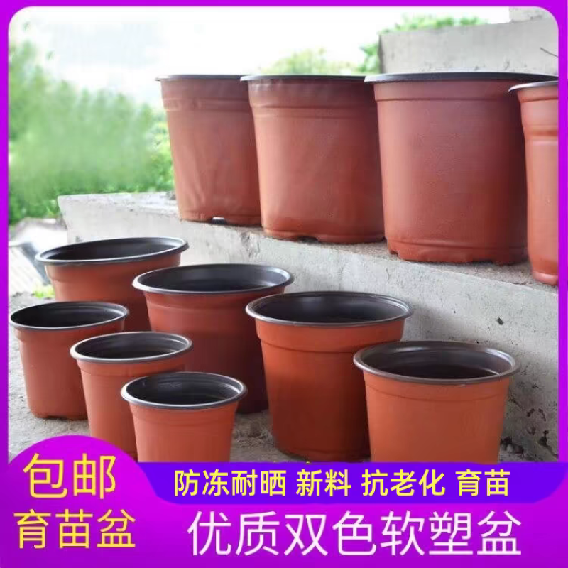 花盆加厚双色盆一次性花盆育苗盆塑料花盆营养钵育苗双色花盆