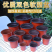花盆加厚双色盆一次性花盆育苗盆塑料花盆营养钵育苗双色花盆
