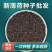 薄荷种子可食用芳香驱蚊薄荷盆栽四季播种