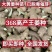 催芽姜种、368脱毒姜种全程技术指导亩产过万全国发货