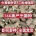 河南姜种、368脱毒姜种全程技术指导亩产过万全国发货