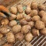 芋头原产地对接【电商/市场】分级小球/中球/大球坏烂包赔