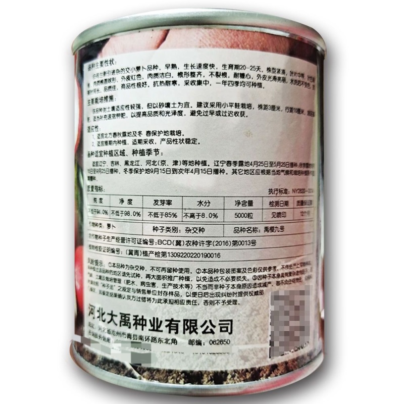 禹樱九号F1萝卜种子抗病性强三系杂交抗热耐寒速生早樱桃萝