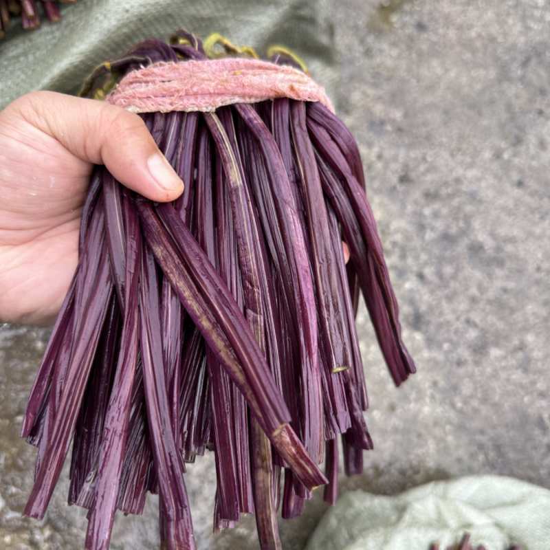 蕨菜