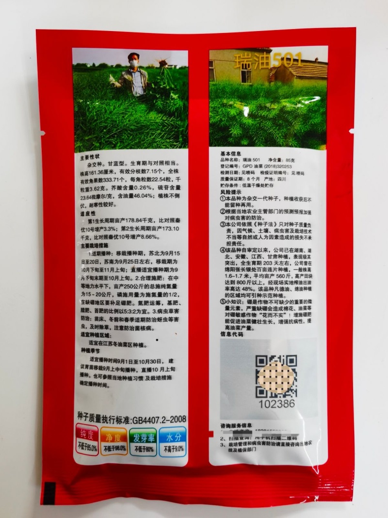 瑞油501油菜种子熟期早杆子矮分枝多产量高抗性好出油多