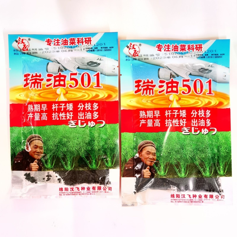 瑞油501油菜种子熟期早杆子矮分枝多产量高抗性好出油多