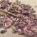 款冬花中药材批发新货冬花艾冬花干净无杂支持药检