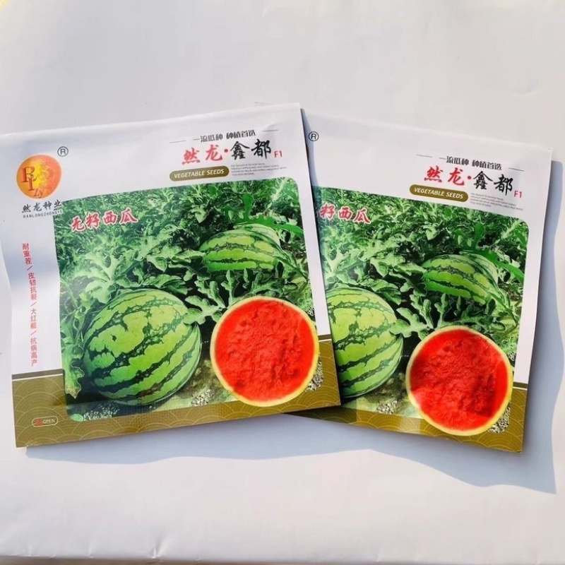 然龙鑫都无籽西瓜种子品种三倍体，花皮无籽品种种子