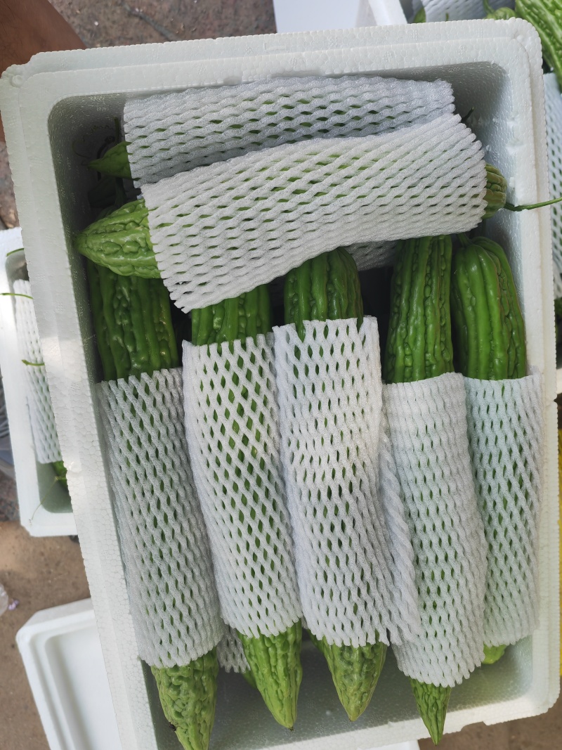 电商蔬菜